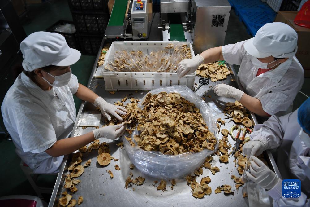 性屋娱乐